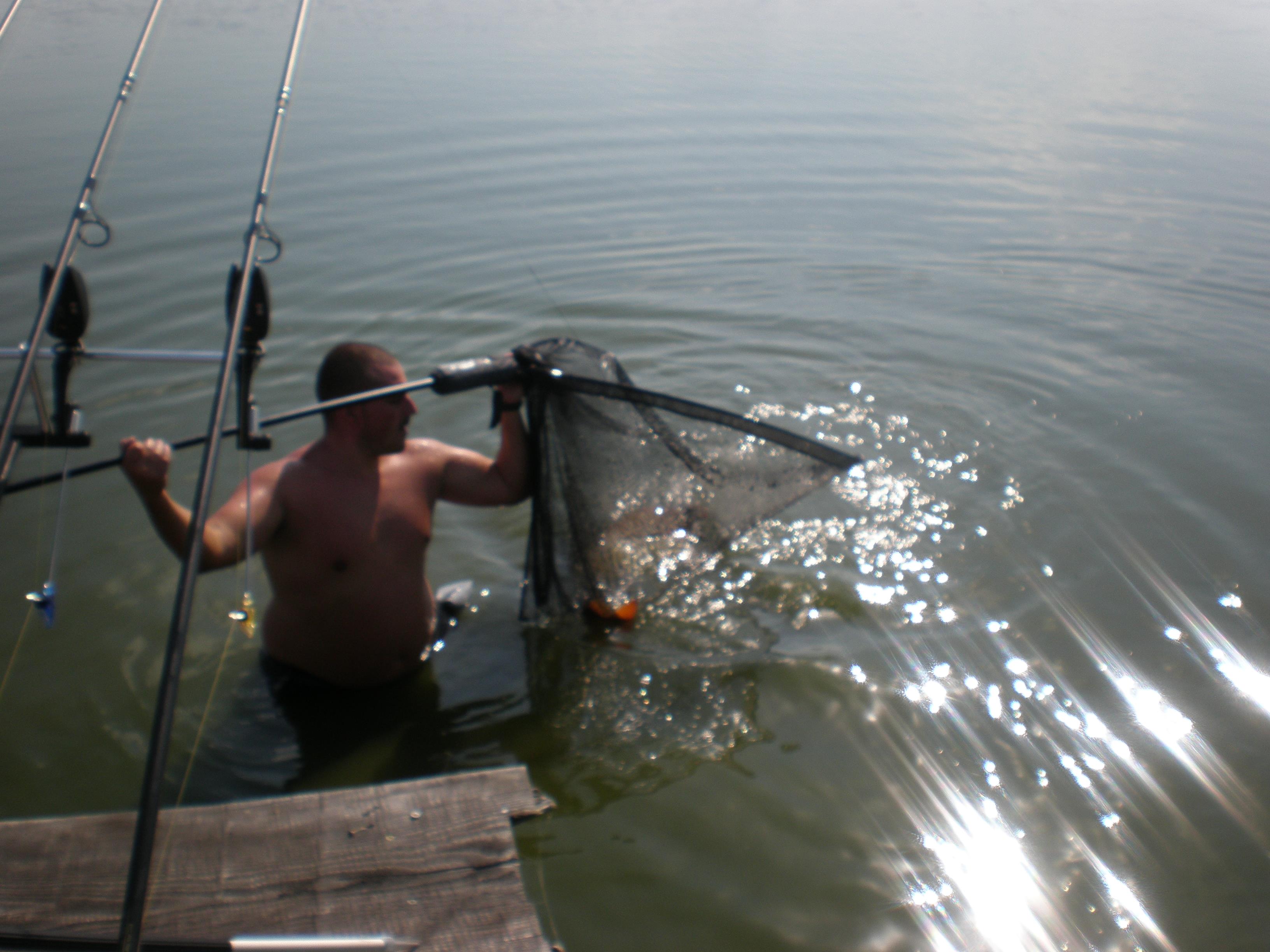 ccarp - P7250449.JPG